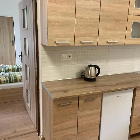Apartmany Pod Radhostem Roznov pod Radhostem Exterior photo